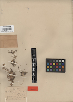 LE 00013887