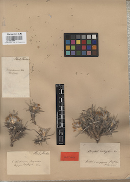 LE 00013900