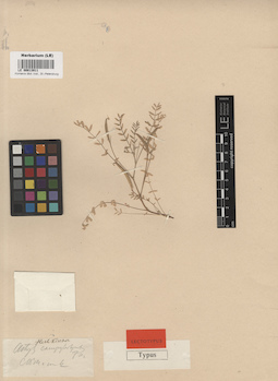 LE 00013911