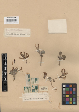 LE 00013913