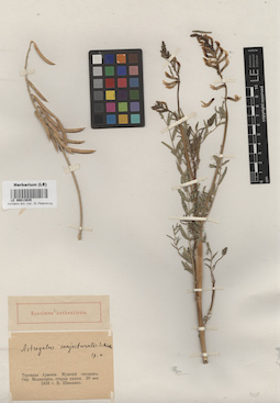 LE 00013935