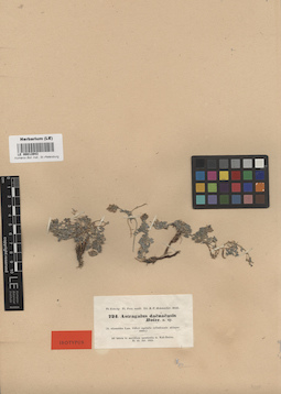 LE 00013943