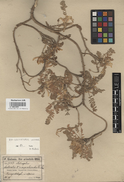 LE 00013945