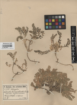 LE 00013946