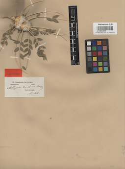 LE 00013949
