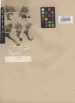 LE 00013954
