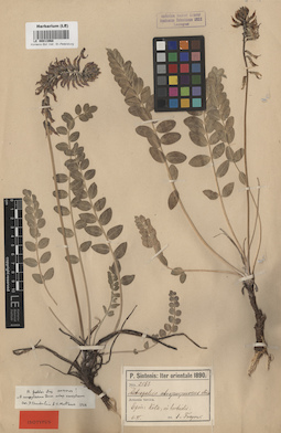 LE 00013968