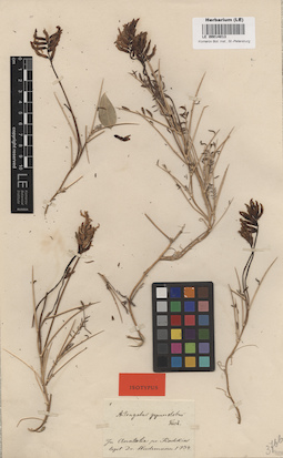 LE 00014013