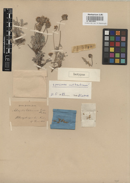 LE 00014044