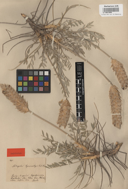 LE 00014058