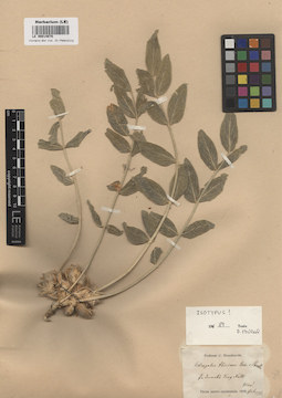 LE 00014070