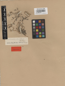 LE 00014073