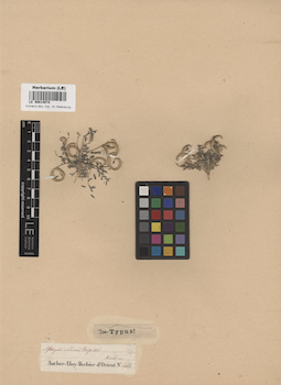 LE 00014074