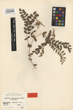 LE 00014076