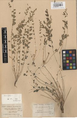 LE 00014078
