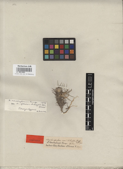 LE 00014083