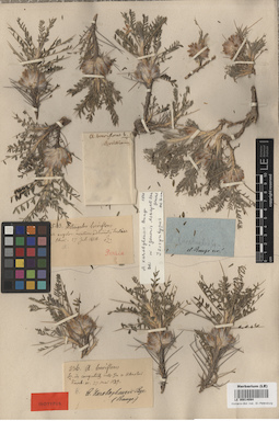 LE 00014084