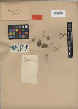 LE 00014103