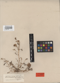 LE 00014105