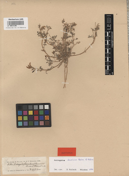LE 00014106