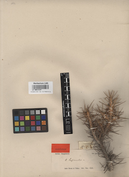 LE 00014107