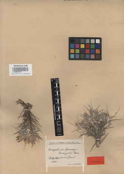LE 00014110