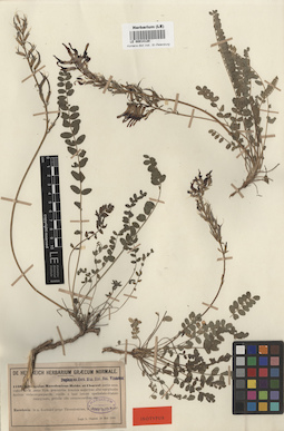 LE 00014120