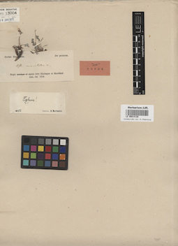 LE 00014128