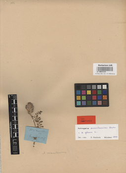LE 00014134