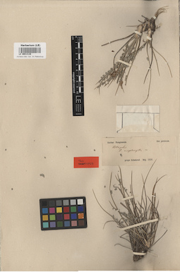 LE 00014138