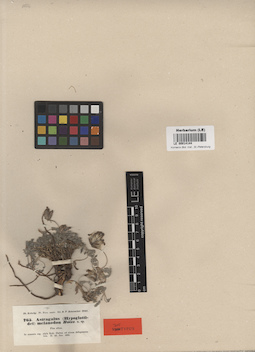LE 00014144