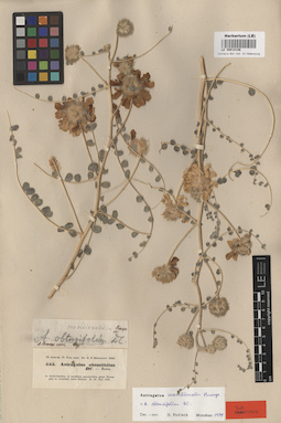 LE 00014148