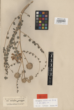 LE 00014149