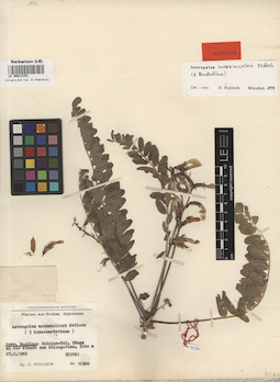 LE 00014151