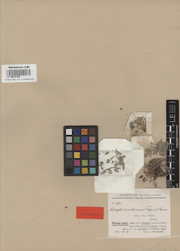LE 00014159