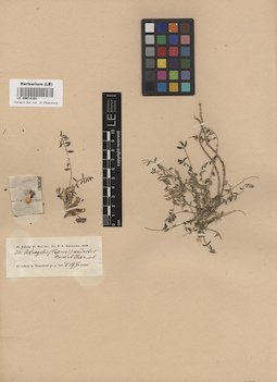 LE 00014161