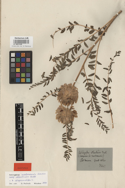 LE 00014165