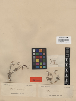 LE 00014169