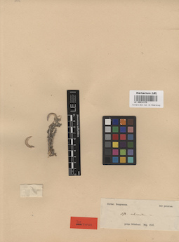 LE 00014170