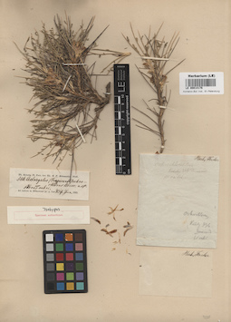 LE 00014176