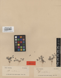 LE 00014177