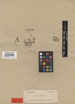 LE 00014178