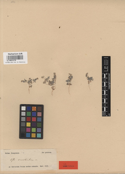 LE 00014179