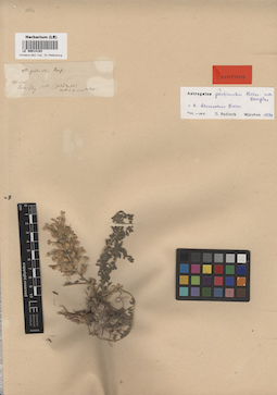 LE 00014193
