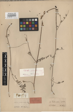 LE 00014194