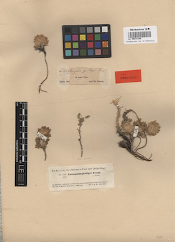 LE 00014196