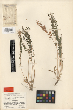 LE 00014197