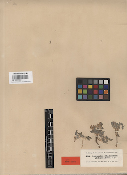 LE 00014210