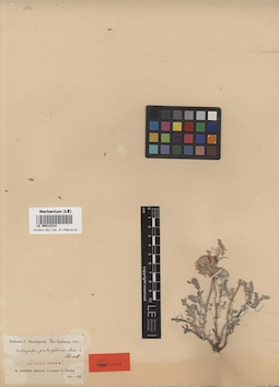 LE 00014214