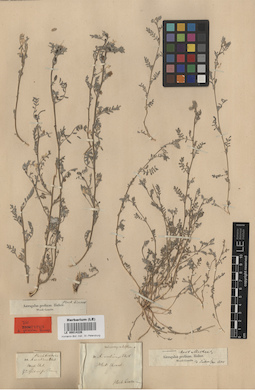 LE 00014226